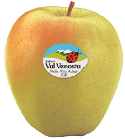 Apple Golden Val Venosta