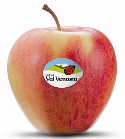 Apple Fuji Val Venosta