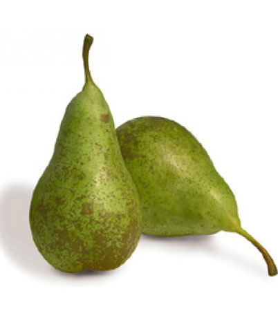 Pear Conference