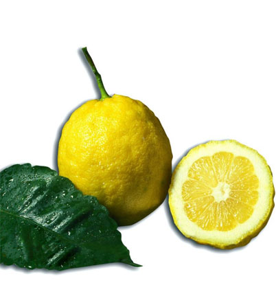 Amalfi Lemons