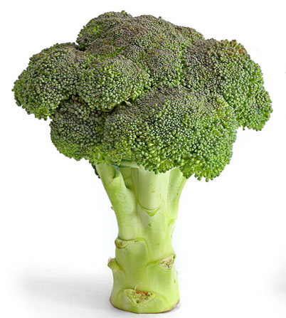 Sicilian Broccoli