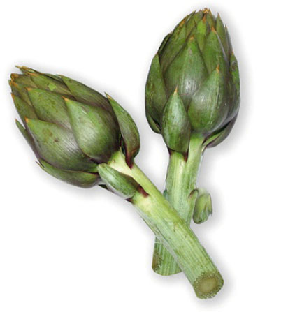 Artichoke Tema