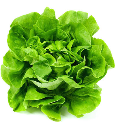 Lettuce Salad