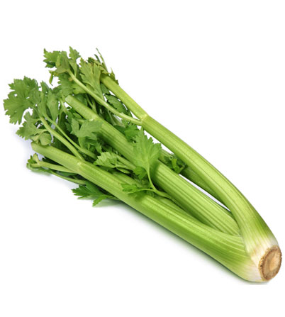 Celery