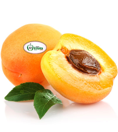 Apricot