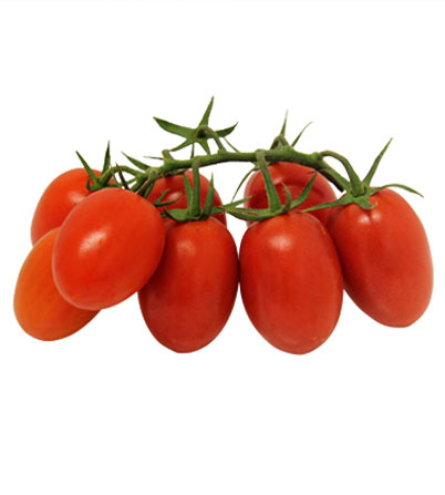 Tomato Piccadilly
