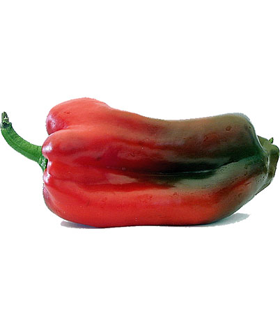 Pimiento Rojo