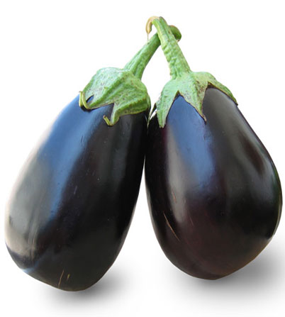 Ronde Aubergine